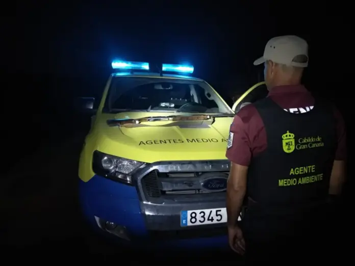 Intervienen 16 conejos muertos a dos presuntos furtivos en Los Marteles, en Gran Canaria