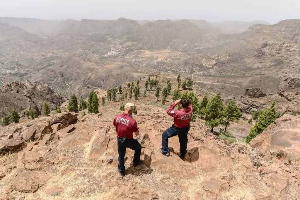 Gran Canaria y Tenerife estarán en alerta por riesgo de incendios forestales