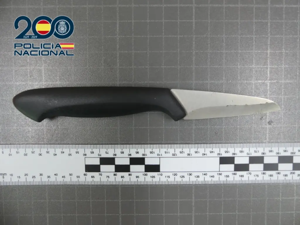 Le clava un cuchillo a un hombre para robarle el móvil en el Parque Arnao, en Telde