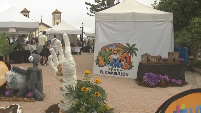 Santa María de Guía acoge este fin de semana la I Feria municipal del coleccionismo y de las tradiciones Guía Colecciona