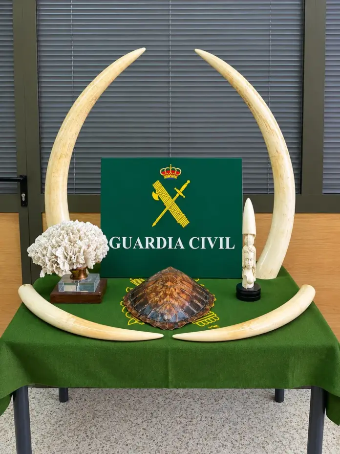 La Guardia Civil recupera especies exóticas de una colección privada
