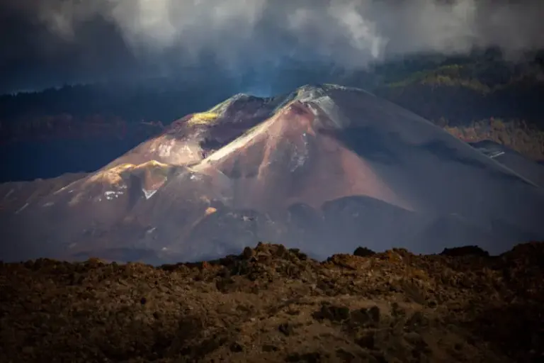 Reacciones institucionales al quinto aniversario de la erupción del volcán de La Palma