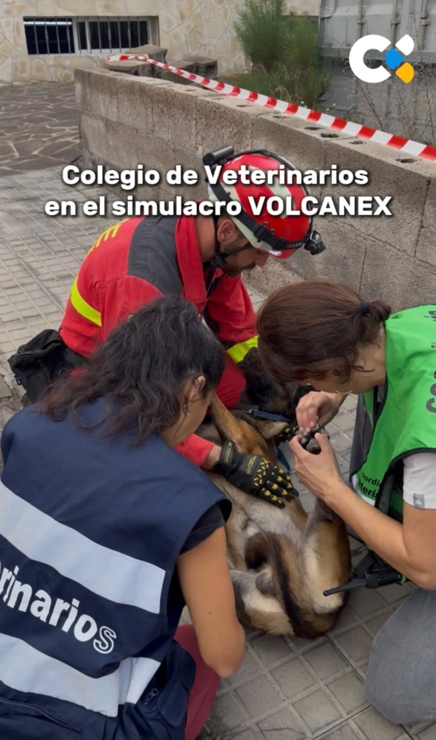 Videos Cortos de Youtube e Instagram de Radio Televisión Canaria