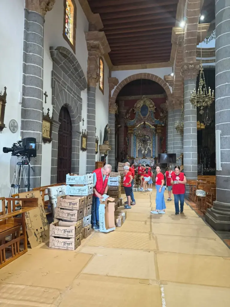 Romería Ofrenda a la Virgen del Pino 2026