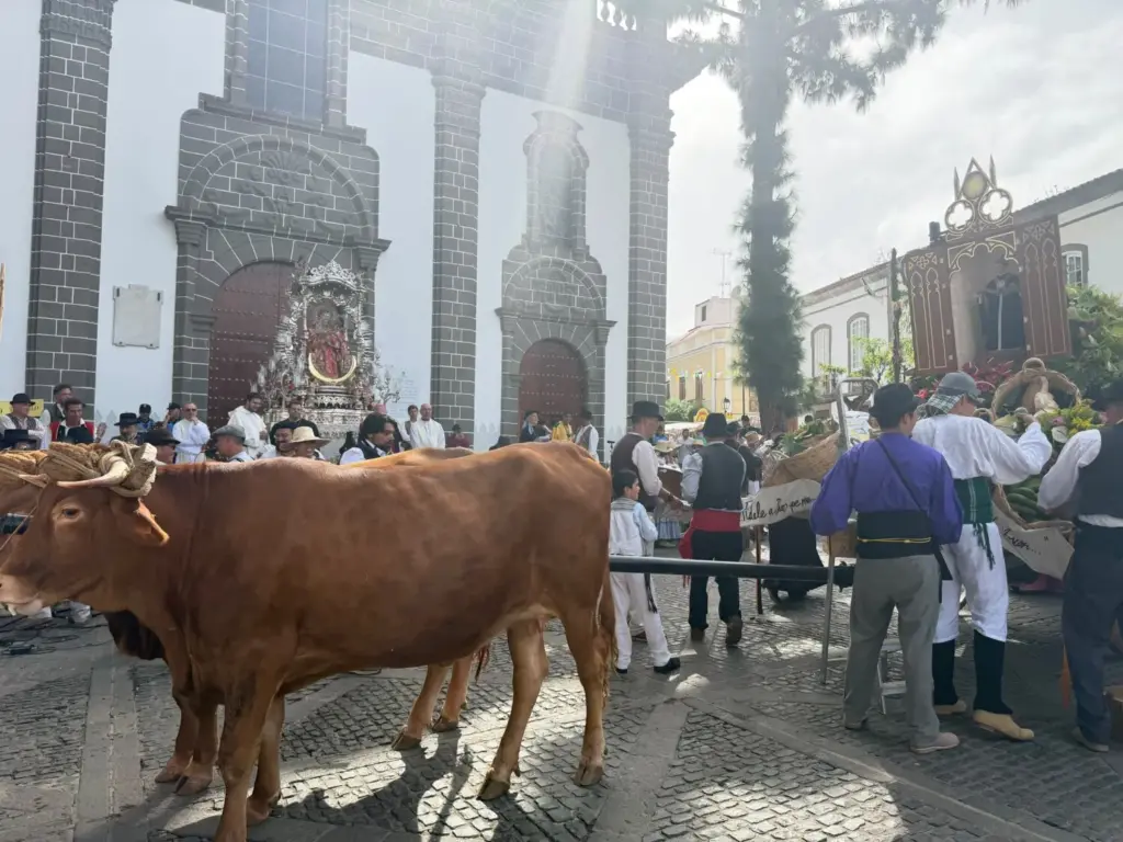 Romería Ofrenda a la Virgen del Pino 2026