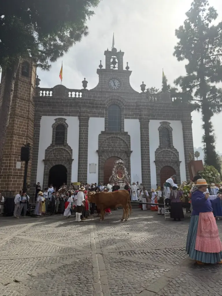 Romería Ofrenda a la Virgen del Pino 2026