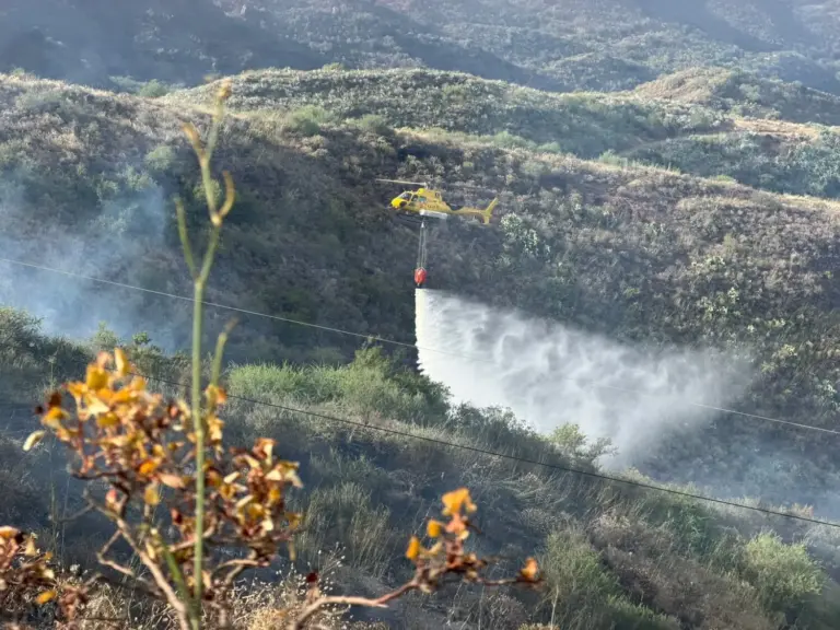 Tenerife y Gran Canaria, en alerta por riesgo de incendio forestal