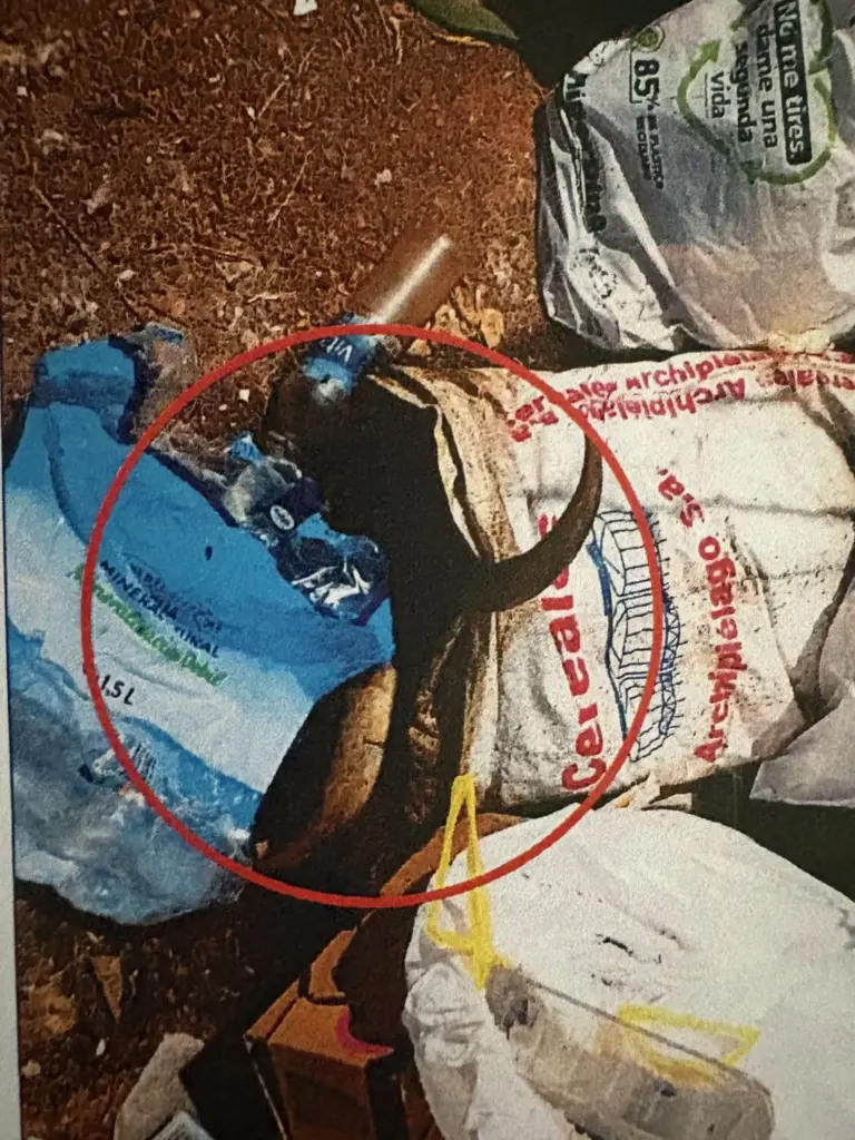 Aparece una cabra muerta en un contenedor en Agua de Bueyes, Fuerteventura