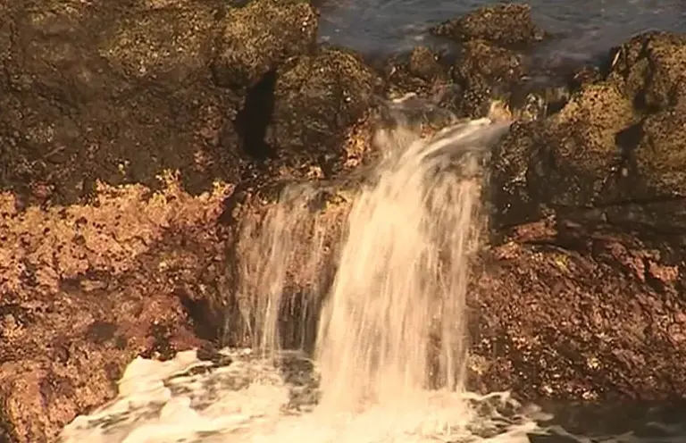 El Cabildo de Tenerife también denunciará el derrame en los juzgados y abre expediente a Aqualia