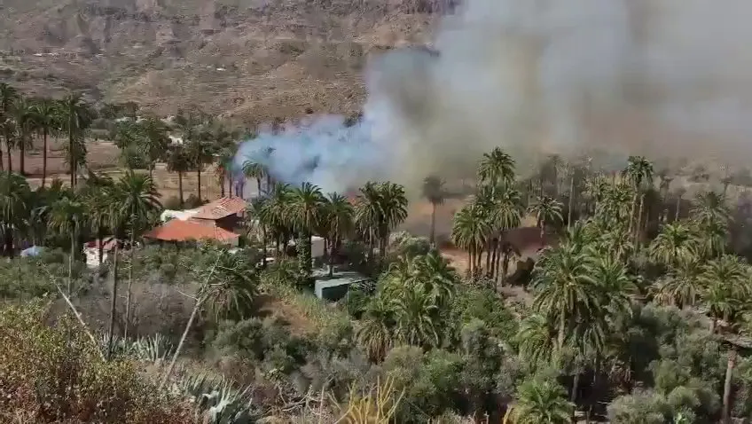 Conato de incendio en La Sorrueda, en Santa Lucía de Tirajana, Gran Canaria. Captura del vídeo del Cabildo de Gran Canaria