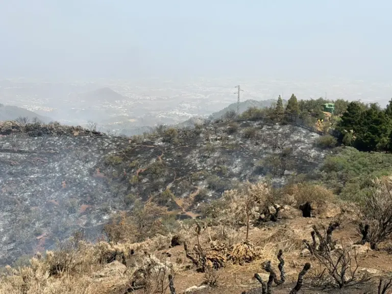Incendio en Gran Canaria: galería de imágenes y vídeos