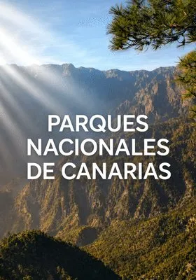 Programas de Televisión Canaria en CanariasPlay