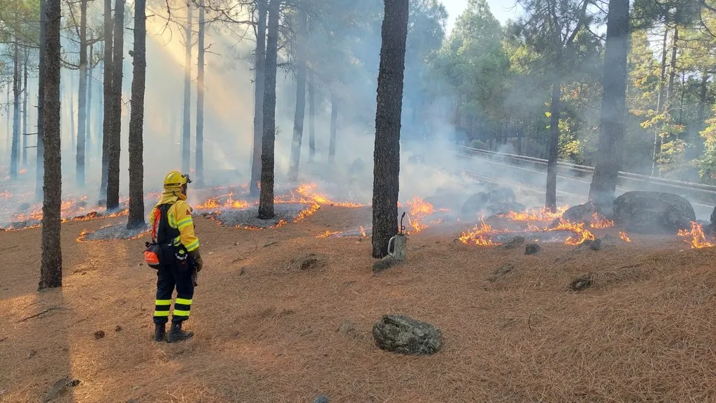 Gran Canaria pasa a época de peligro medio de incendios. Imagen quema prescrita, Cabildo de Gran Canaria