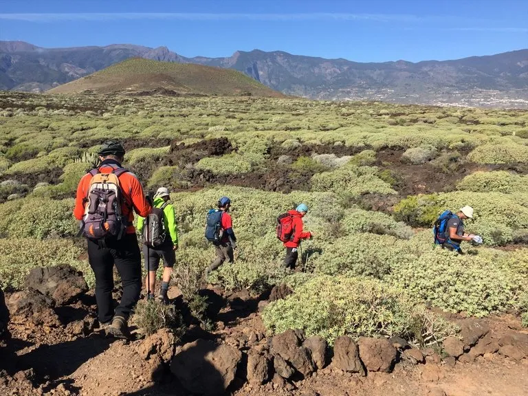 Canarias, referente del turismo no estacional en España
