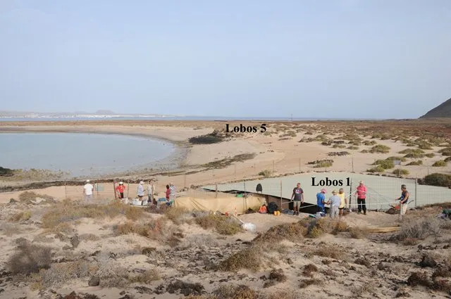 Reanudan las campañas de excavaciones arqueológicas en el islote de Lobos