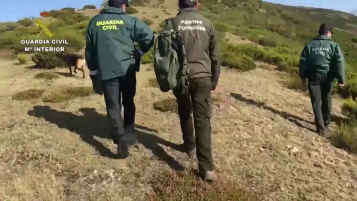 La Guardia Civil intensifica la vigilancia en los espacios naturales protegidos en la isla de Fuerteventura