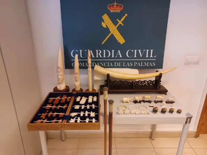 La Guardia Civil interviene una colección de piezas de marfil hallada en una vivienda de Las Palmas