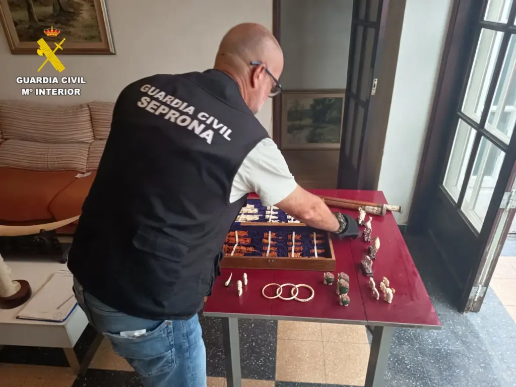 La Guardia Civil interviene una colección de piezas de marfil hallada en una vivienda de Las Palmas