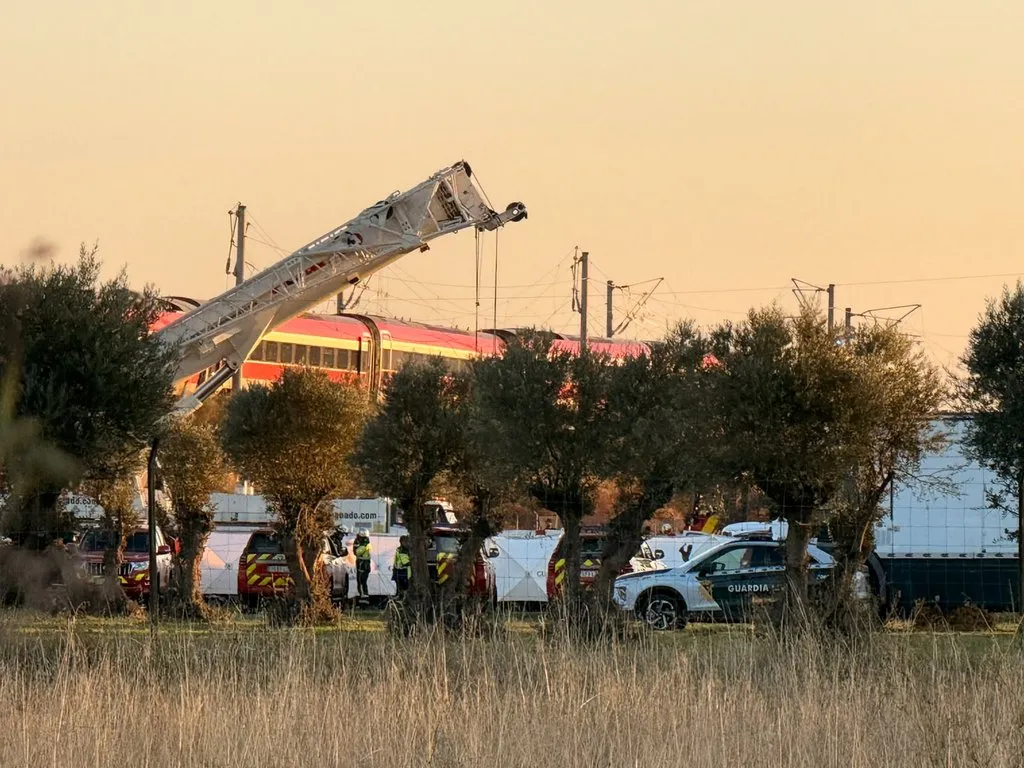 Las grúas operan en la zona