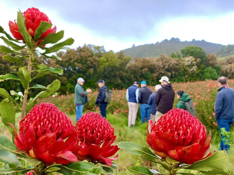 ‘De Campo y Mar’ descubre el potencial de la flor cortada y la planta ornamental en Canarias