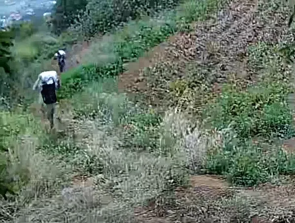 Seis personas investigadas por sustraer 800 kg de papas negras de varias fincas agrícolas de La Esperanza