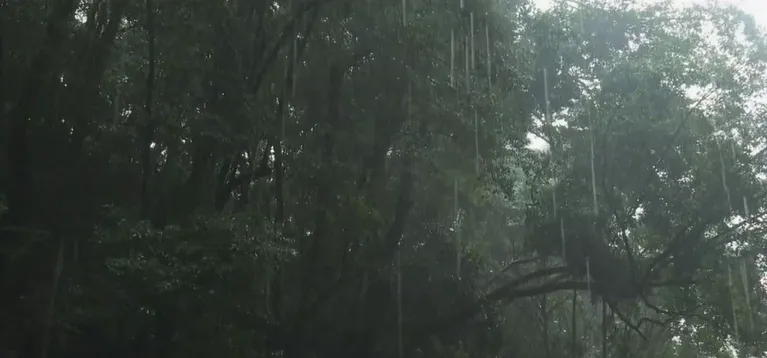 Elevan a alerta la situación por lluvias en el norte y este de La Palma