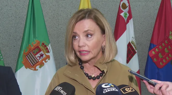 Ana Zurita, directora general de Industria