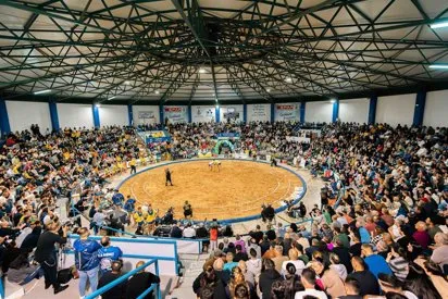 Suspendidos cautelarmente dos puntales de lucha canaria tras un control antidopaje