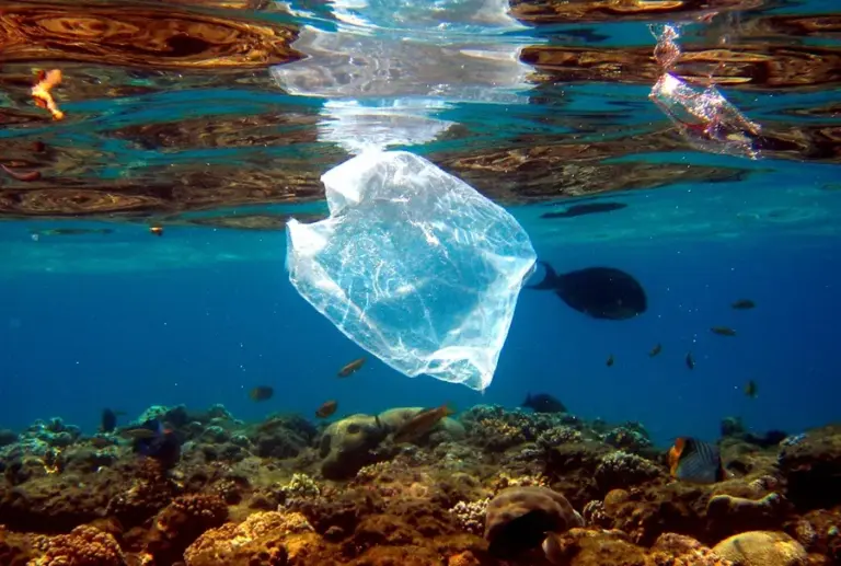 CIRCULAROCEAN analiza las basuras marinas en la playa de Tazacorte