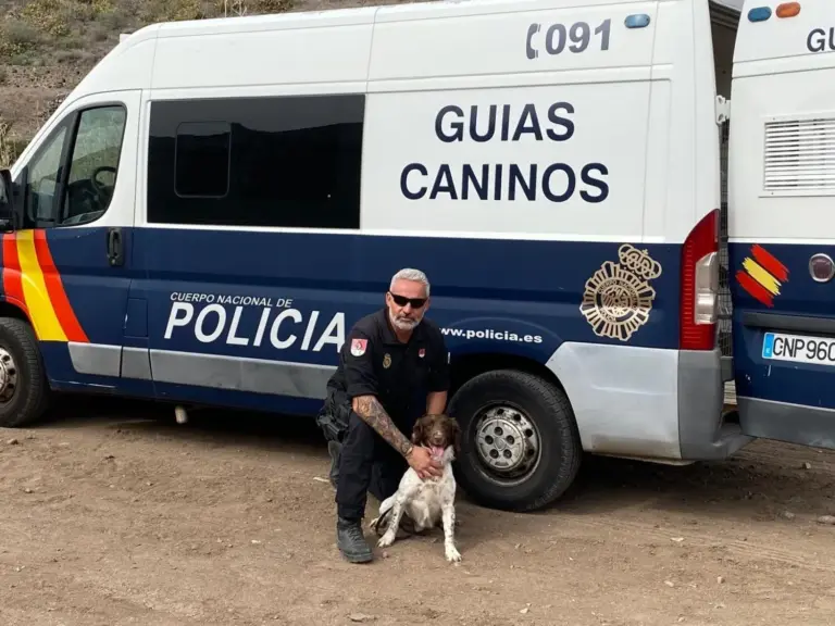 Rony, el perro policía condecorado por localizar a dos personas fallecidas en Canarias